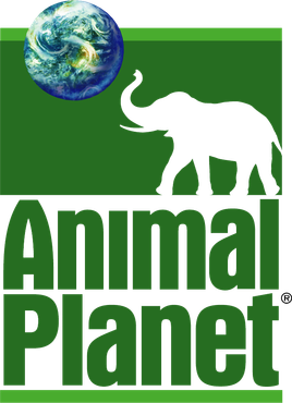动物星球频道推出新标志13.png